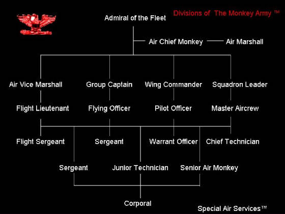 Special Air Services Divisions