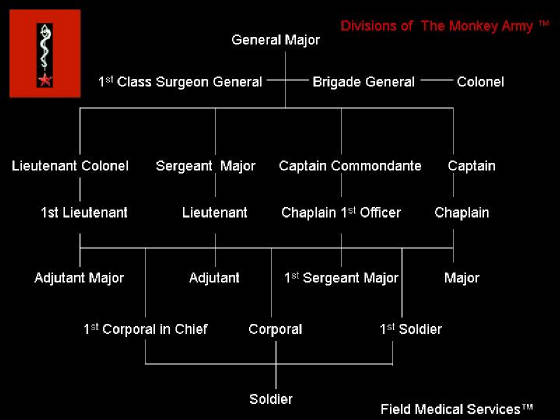 Medical Field Divisions