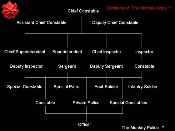 Monkey Police Divisions