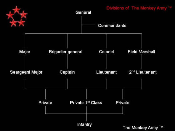 The Monkey Army Divisions