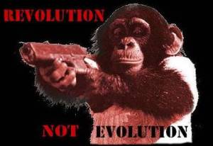 Revolution Not Evolution T-Shirt